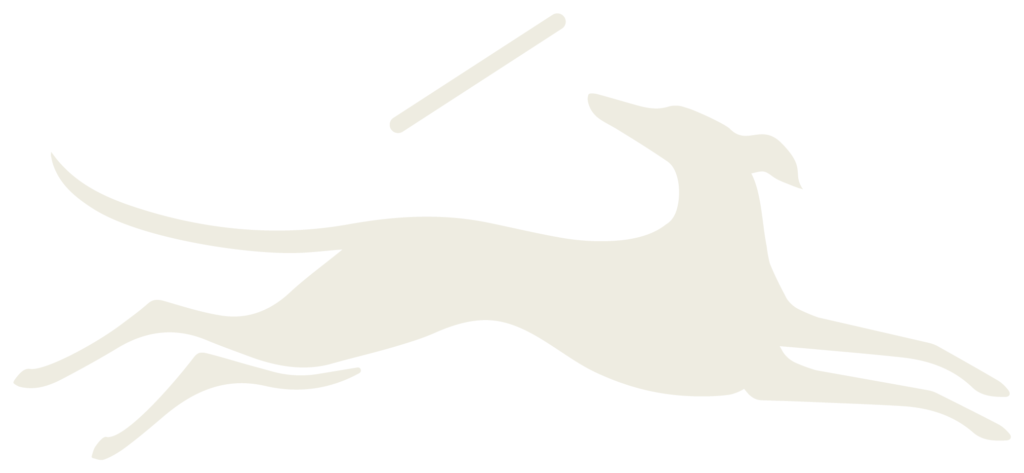 Palo
